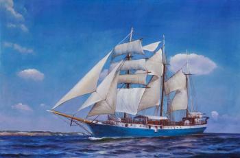 Sailboat. Conquering the sea. Lagno Daria