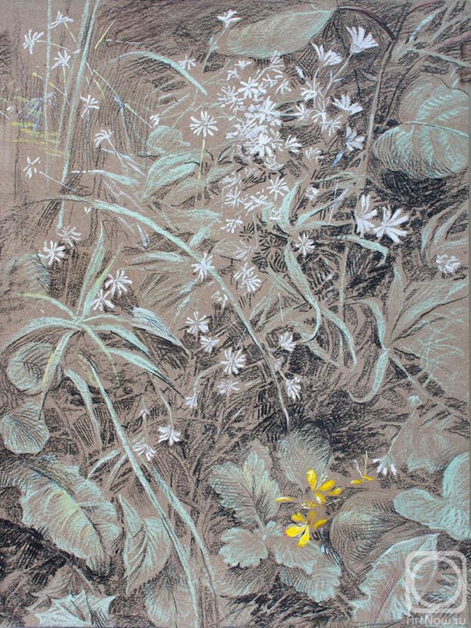 �������. ������� �������. ������ �������. 16 ����