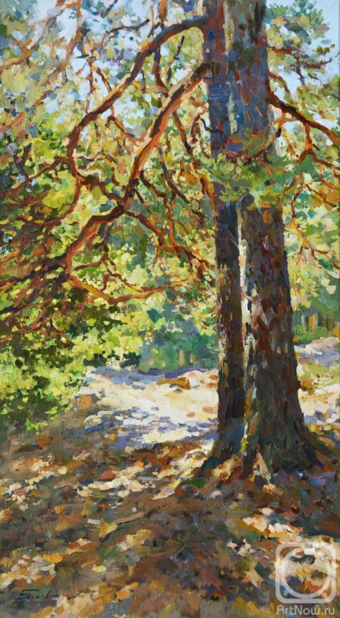 ������� ������ �� ������. ������ �����. �� ��������� ������