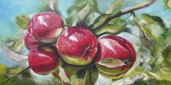 Apples. Sharafutdinov Ravil