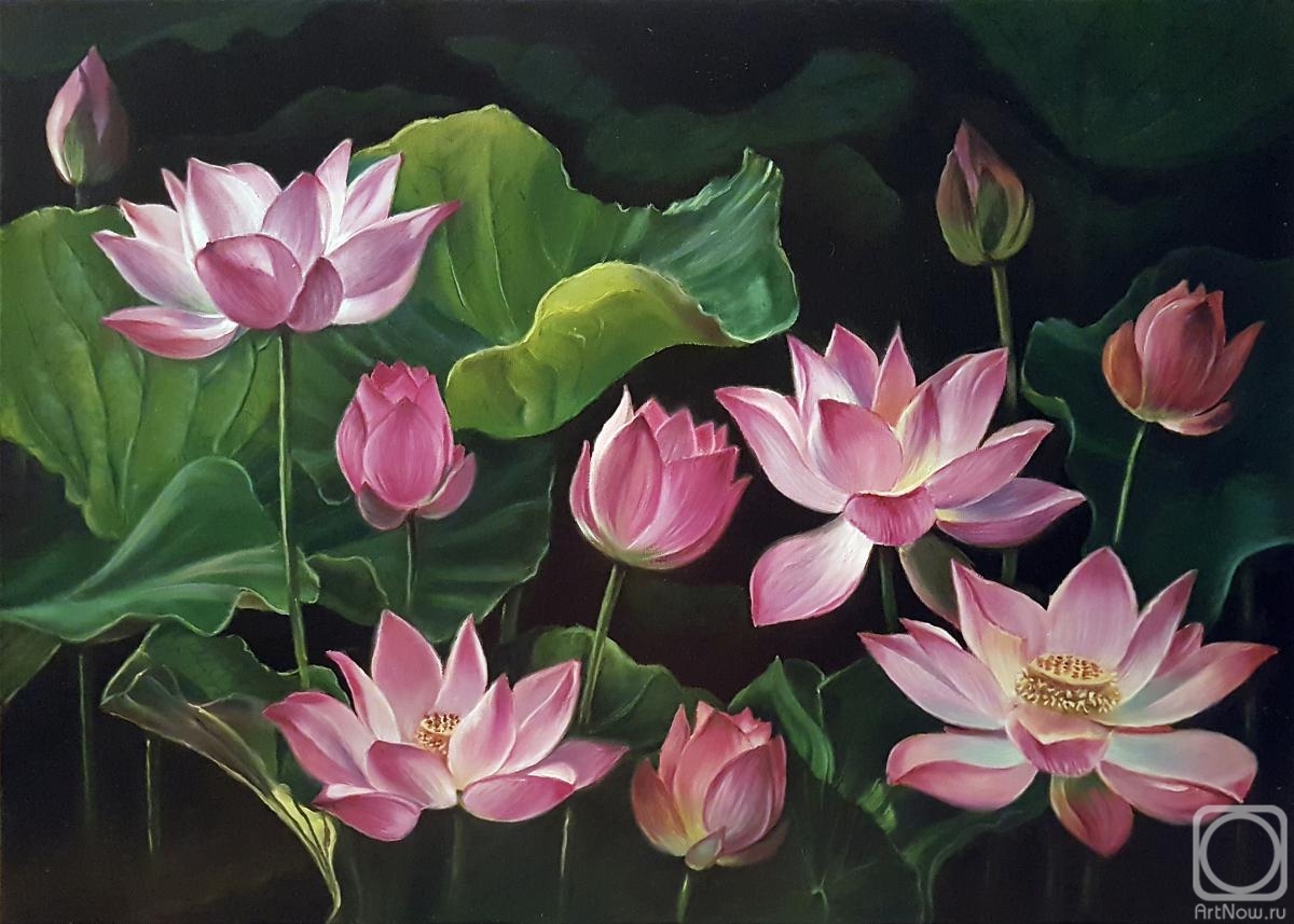Sharafutdinov Ravil. Lotuses