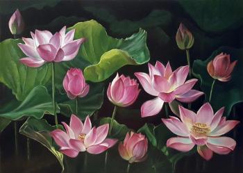Lotuses. Sharafutdinov Ravil