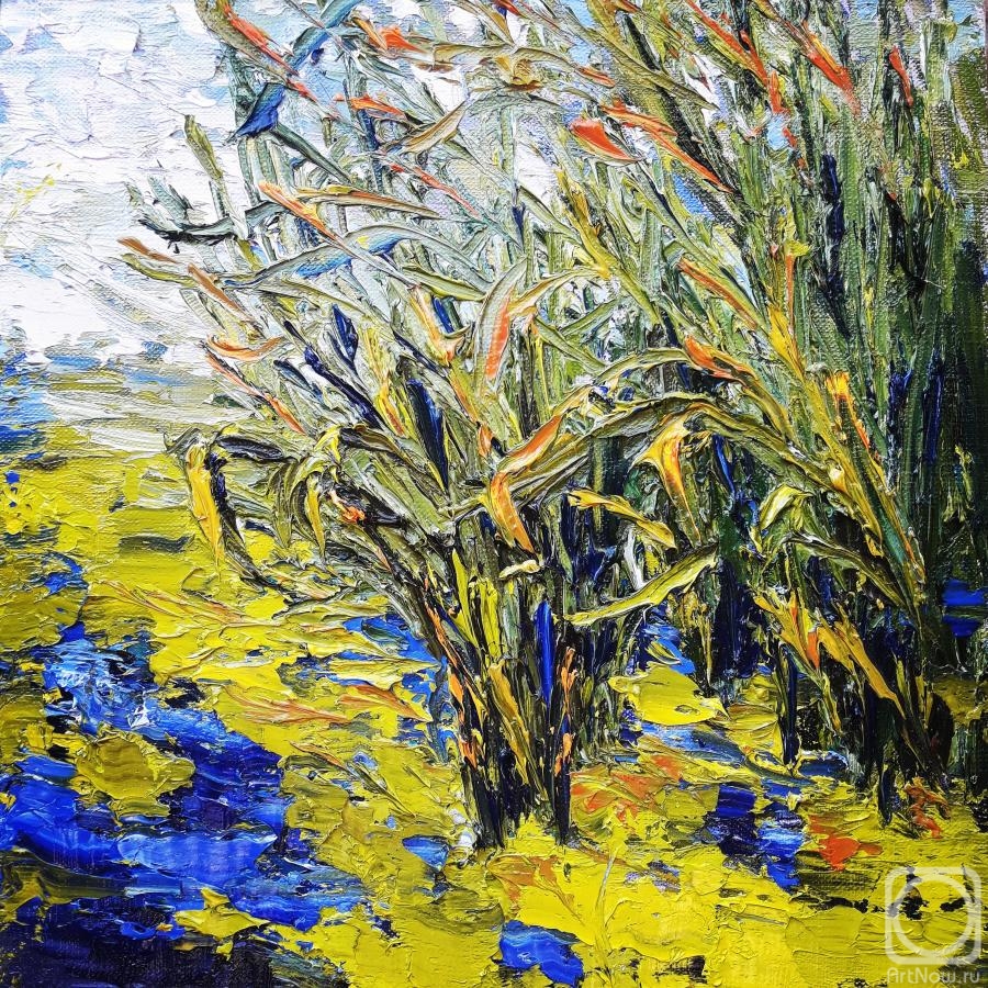 ������� ������ �� ������. �������� ���������. ������� ��� ��������