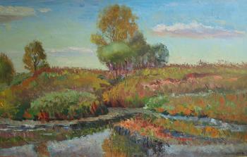 September. On the pond. Chernyy Alexandr