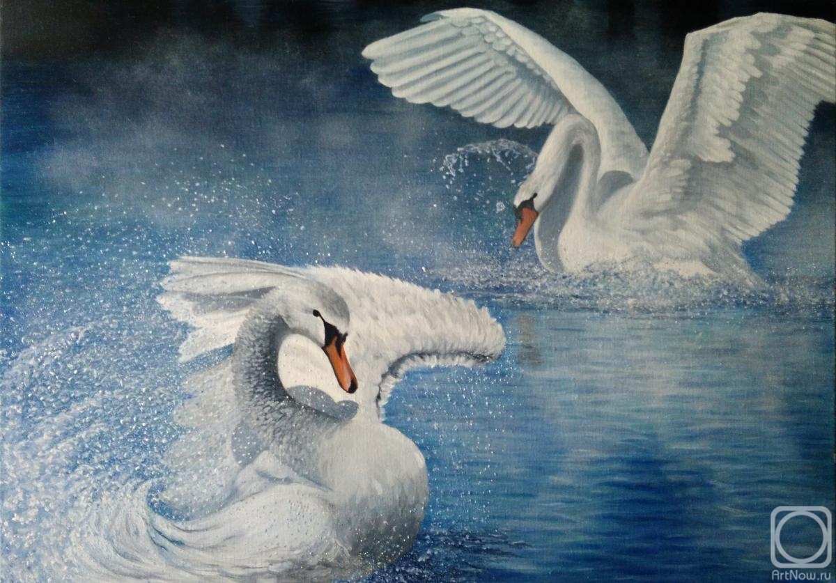 Sokolova Larisa. Two swans