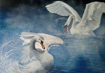 Two swans. Sokolova Larisa