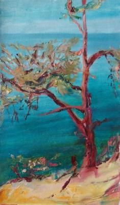 ������� ���� ���������