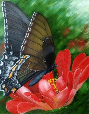 Black butterfly on a red flower. Sokolova Larisa