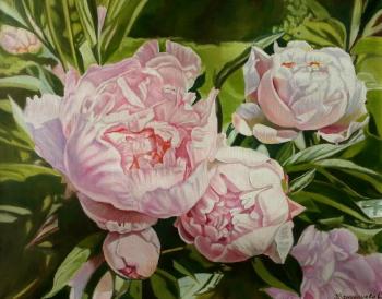 Tenderness of peonies. Vandysheva Svetlana