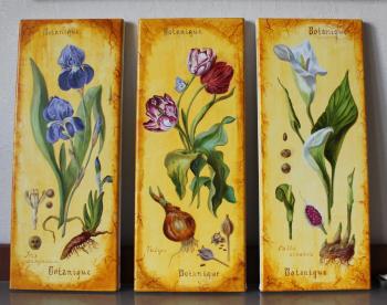 Botanical oil illustrations( triptych). Lutcher Elena