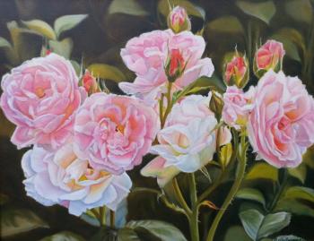 Pink rose. Vandysheva Svetlana