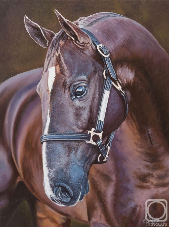 Volya Alexander. Horse. Pretty boy