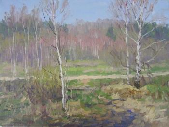 Spring is coming (scene). Chertov Sergey