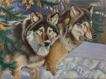 Elokhin Pavel Aleksandrovich. Wolves