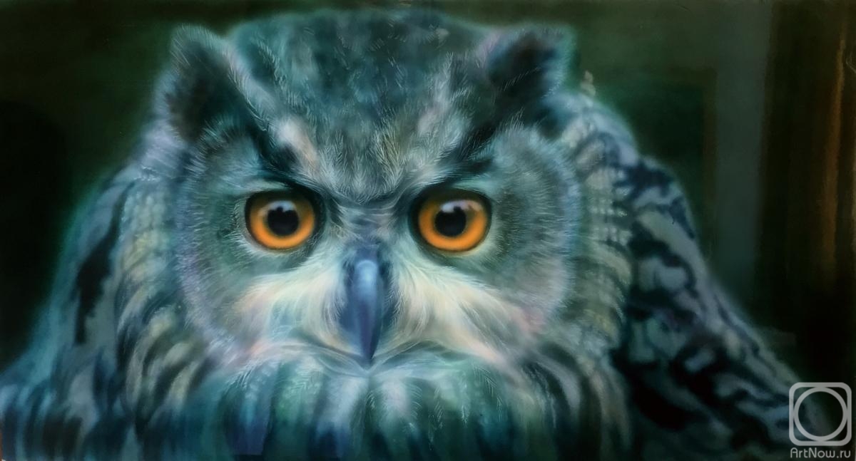 Elgazina Olga. Owl