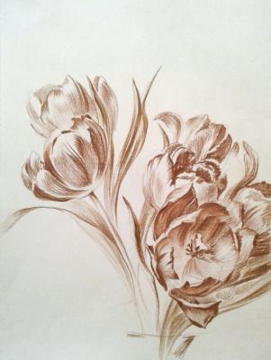 ������� ����������