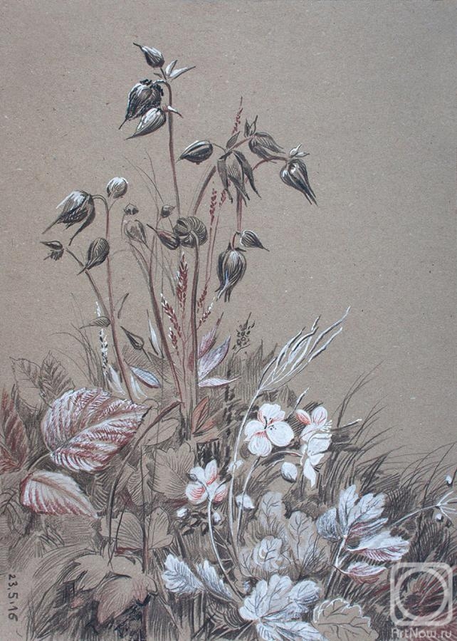 �������. ������� �������. ������ �������. 23.05.2016