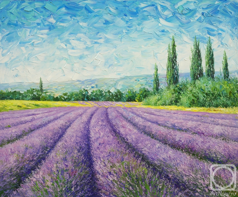 Zhaldak Edward. Fields of lavender