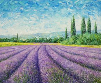 Fields of lavender. Zhaldak Edward
