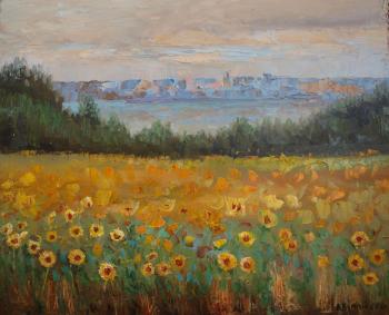 Sunflowers at the Bottom of the District. Chernyy Alexandr