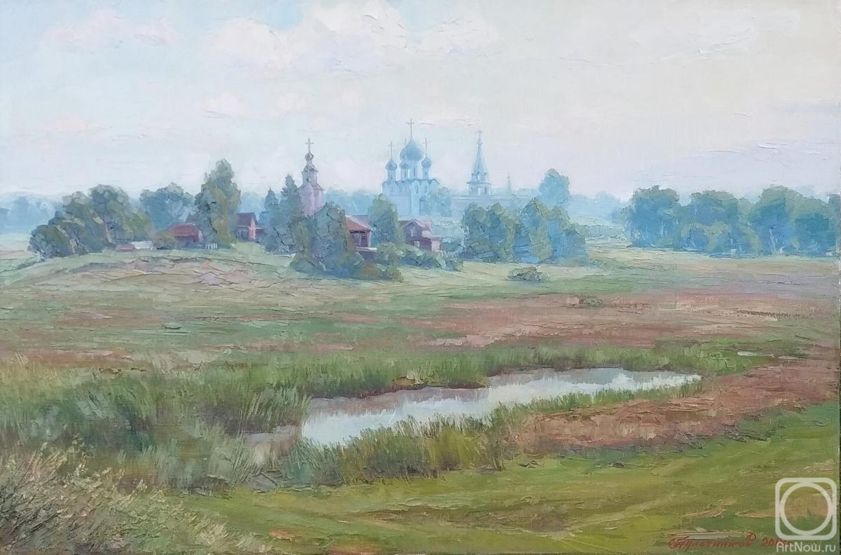 Plotnikov Alexander. Morning mist on meadow Il