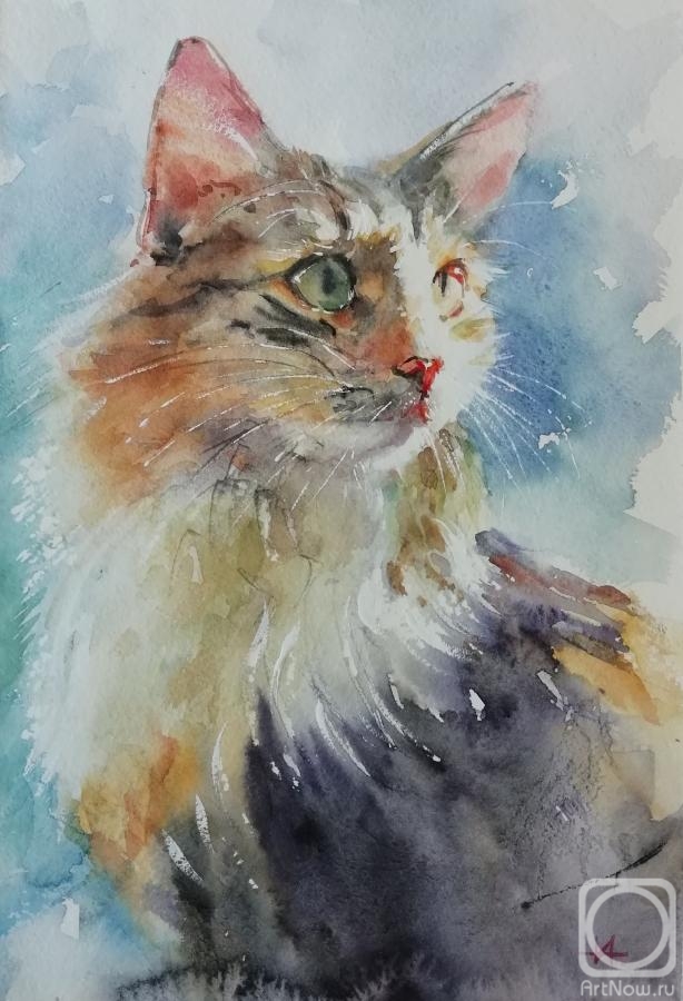 �������. ������� �����. ������� ����