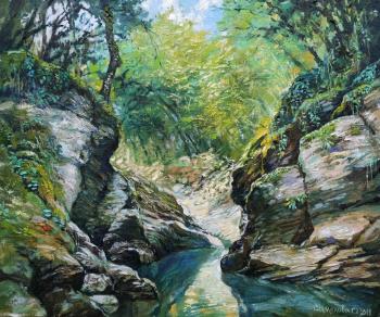 The etude from nature "The Psakho River Canyon". Simonova Olga