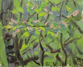 Bird-cherry, birch, May. Dobrovolskaya Gayane