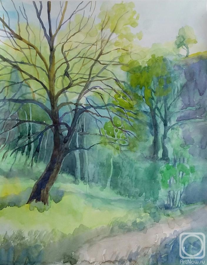 �������. ���������� �������. �����