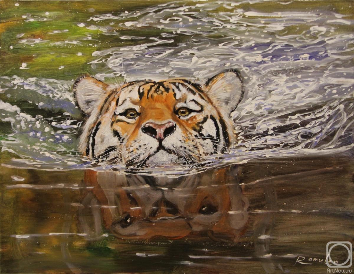Rakhmatulin Roman. Swimming tiger