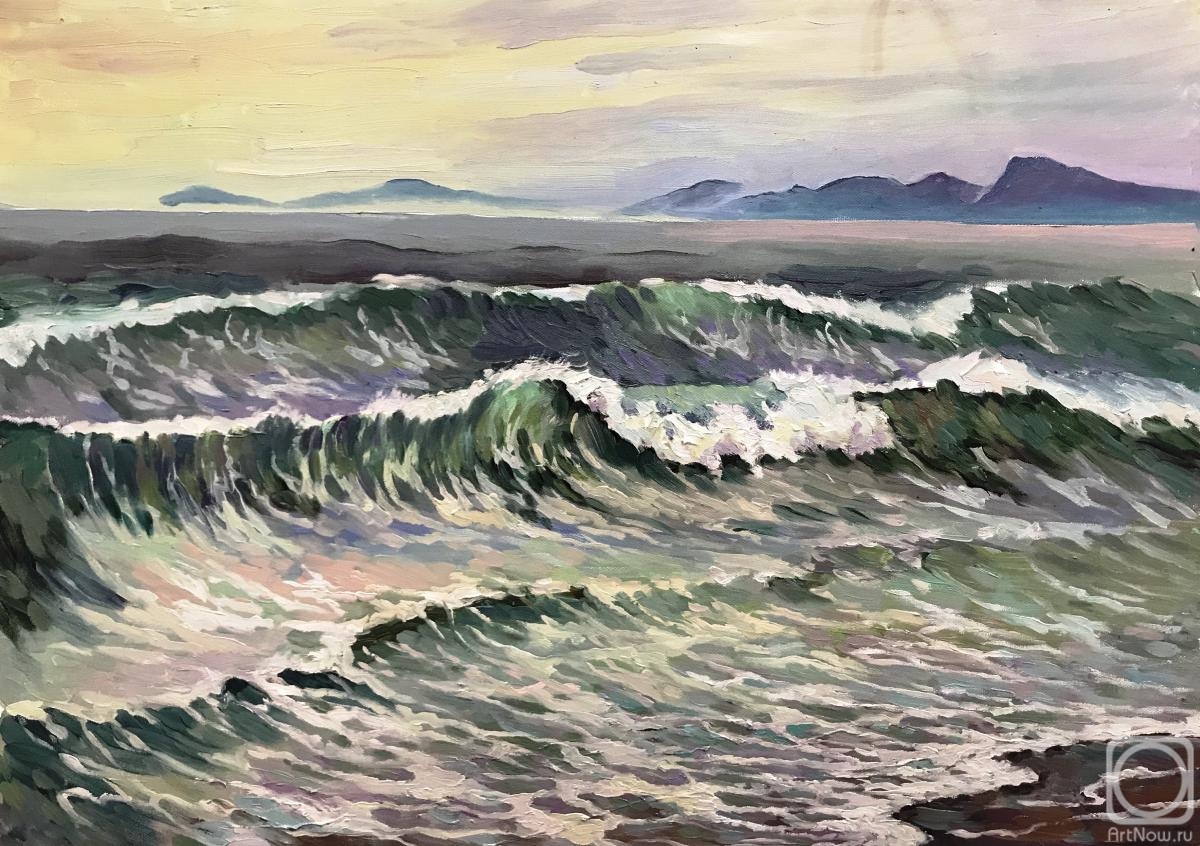 Stepanov Pavel. The waves of the Pacific ocean. Kamchatka