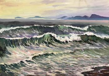 The waves of the Pacific ocean. Kamchatka. Stepanov Pavel