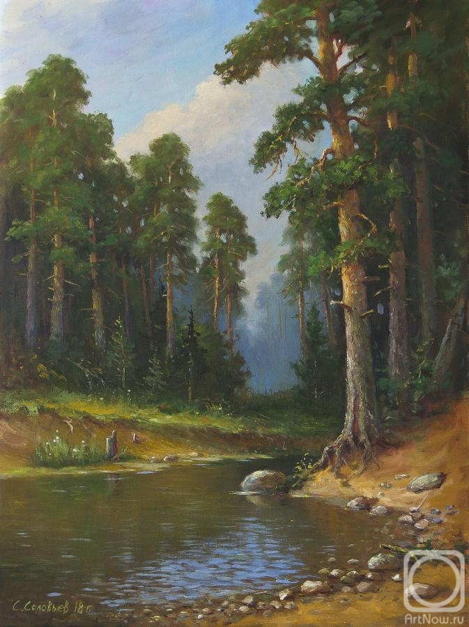 Solovyev Sergey. Pine forest