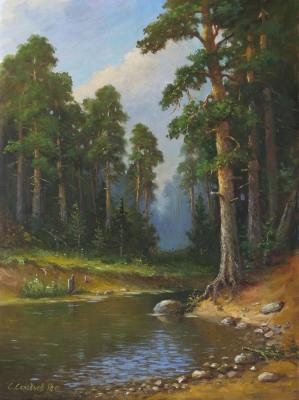 Pine forest. Solovyev Sergey