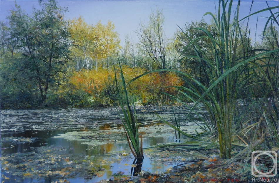 ������� ������ �� ������. ������ ����. �������� �����