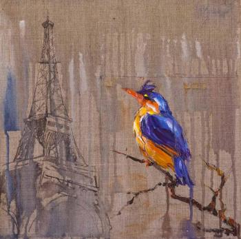 Kingfisher. Paris. Rodries Jose