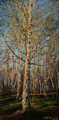 The end of April, five o'clock in the evening, birch (Birch Wood). Dobrovolskaya Gayane
