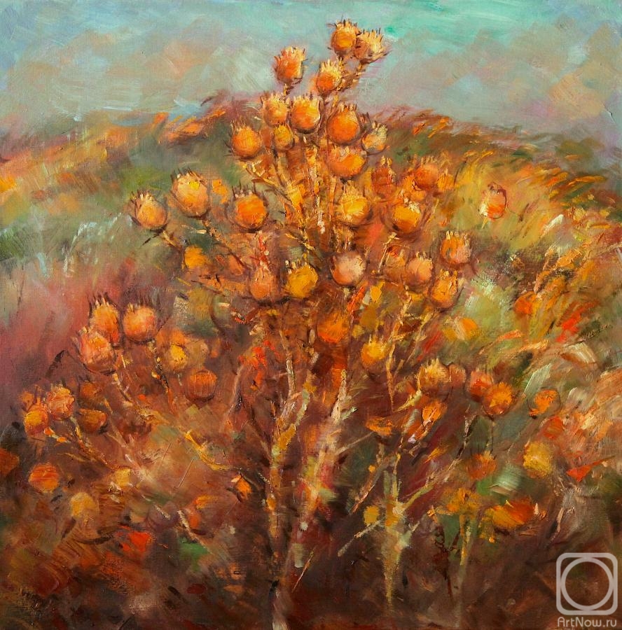 ������� ������ �� ������. ������ ��������. �������