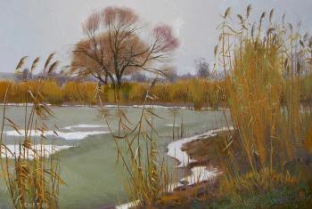 ������� ��������