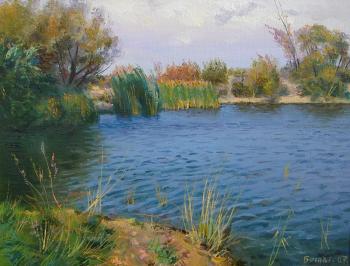 Hunting pond (Windy). Belov Gleb
