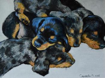 The sleeping taksik (The Sleeping Puppies). Simonova Olga