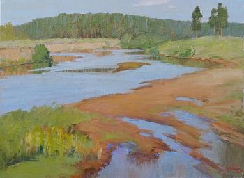 Borovka River in Buzuluksky Bor. Panov Igor