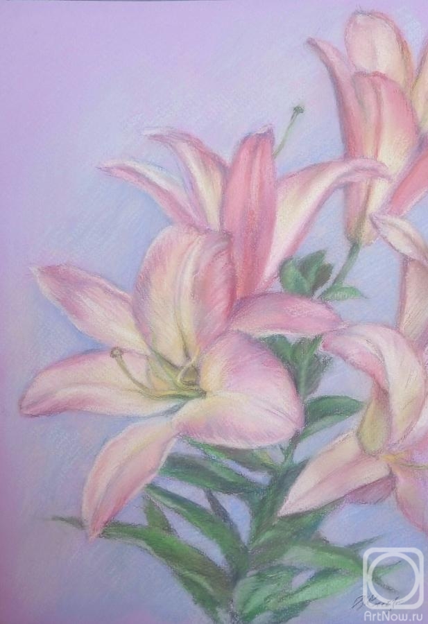 �������. ��������� �������. �����