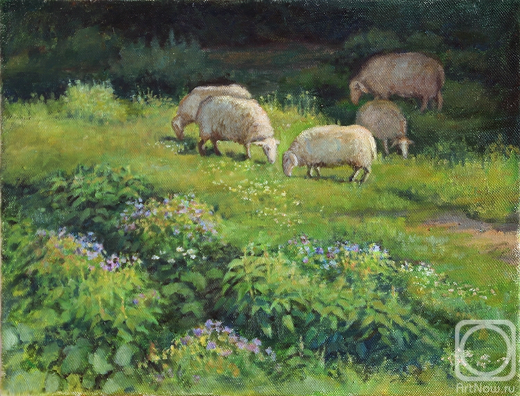 Shumakova Elena. Sheep