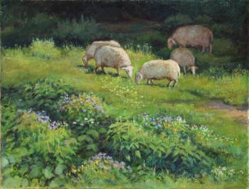 Sheep. Shumakova Elena