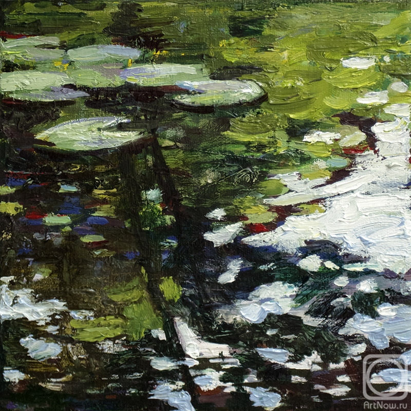 Goda Laima. Reflection in the Monet's pond