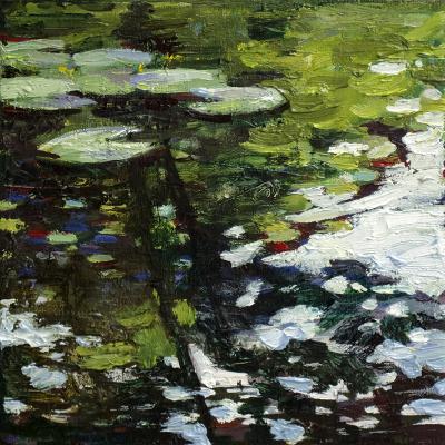 Reflection in the Monet's pond