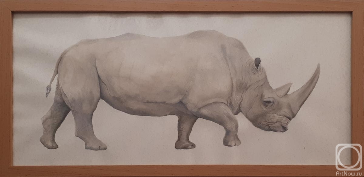 Metchenko Elena. Rhinoceros