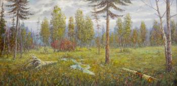 In the forest (  ). Stydenikin Yury