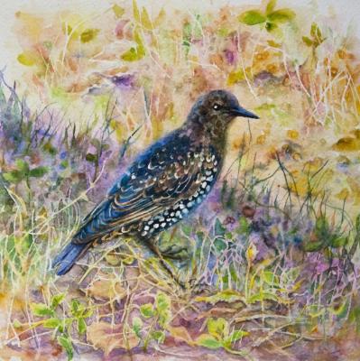 ������� ���������